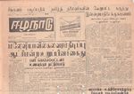 41959.JPG