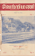 18617.JPG