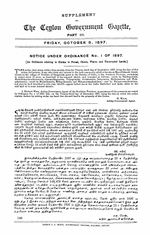 116232.JPG