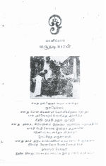 15415.JPG
