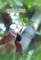 03:17, 22 மார்ச் 2023 -ல் இருந்த பதிப்பின் சிறு தோற்றம்