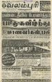 03:27, 13 செப்டம்பர் 2022 -ல் இருந்த பதிப்பின் சிறு தோற்றம்