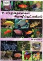 00:46, 23 மே 2023 -ல் இருந்த பதிப்பின் சிறு தோற்றம்