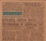 19546.JPG