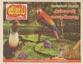 04:32, 5 மே 2015 -ல் இருந்த பதிப்பின் சிறு தோற்றம்