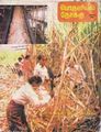 05:32, 26 சூலை 2012 -ல் இருந்த பதிப்பின் சிறு தோற்றம்