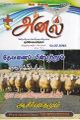 17:56, 29 சூன் 2021 -ல் இருந்த பதிப்பின் சிறு தோற்றம்