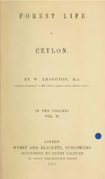 80963.JPG