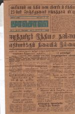 19562.JPG