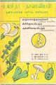 10:12, 2 அக்டோபர் 2021 -ல் இருந்த பதிப்பின் சிறு தோற்றம்