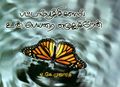 01:22, 20 பெப்ரவரி 2025 -ல் இருந்த பதிப்பின் சிறு தோற்றம்