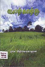 4191.JPG