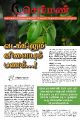 02:21, 29 மே 2023 -ல் இருந்த பதிப்பின் சிறு தோற்றம்