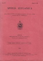 90385.JPG