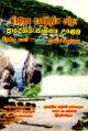 04:33, 16 மே 2024 -ல் இருந்த பதிப்பின் சிறு தோற்றம்