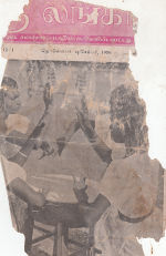 18489.JPG