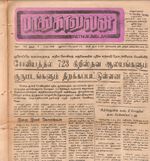 19111.JPG