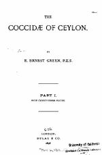 98525.JPG