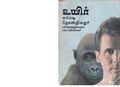 05:17, 18 ஏப்ரல் 2020 -ல் இருந்த பதிப்பின் சிறு தோற்றம்